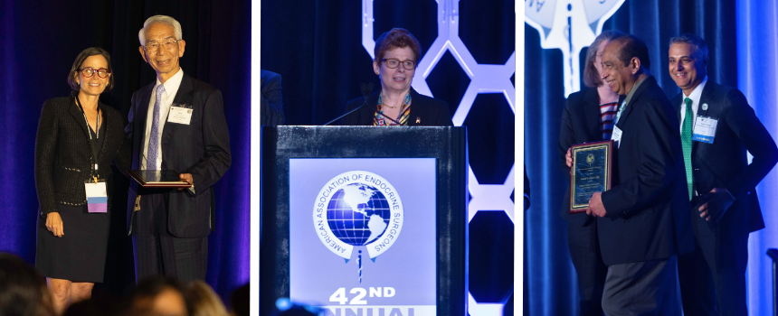 Awards banner graphic